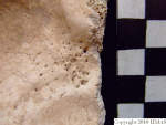L_V20d5080 A16.31 R827 lR ta close-up of occipital, inner table view.JPG L_V20d5080 A16.31 R827 lR ta close-up of occipital, inner table view